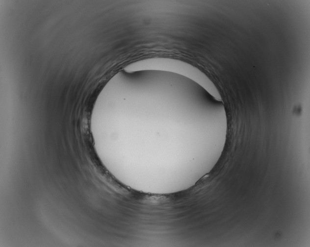 X0000114990137200911231150