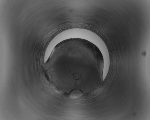 X0000114990139200911231150