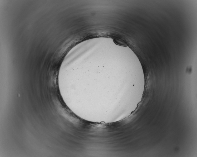 X0000114990140200911231150