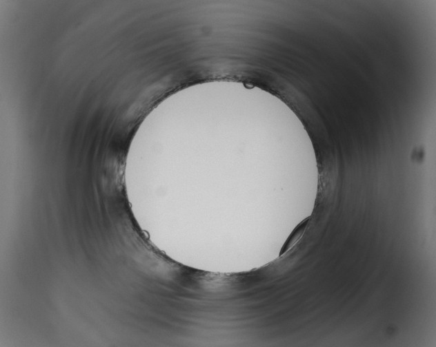 X0000114990142200911231150