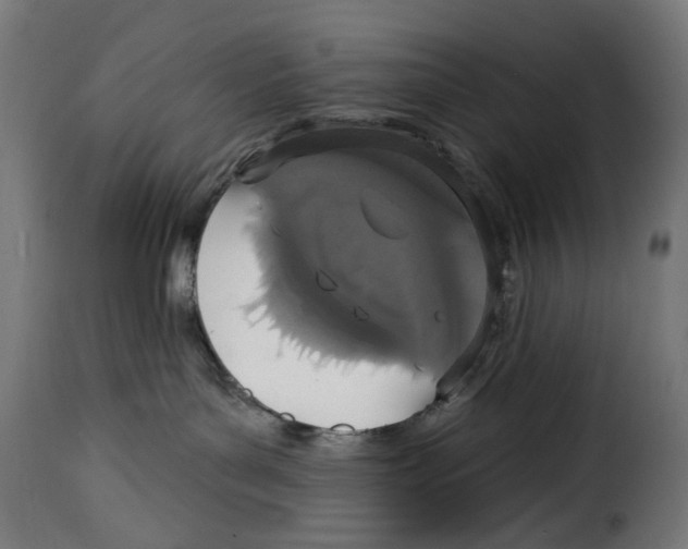 X0000114990143200911231150