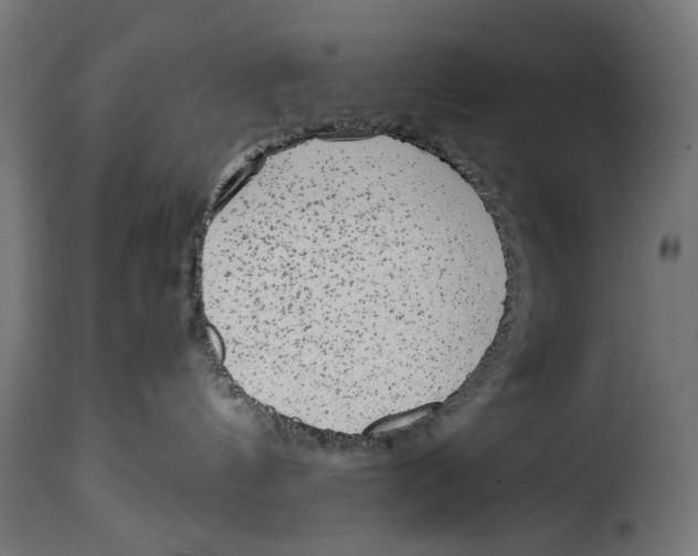 X0000114990144200911231150