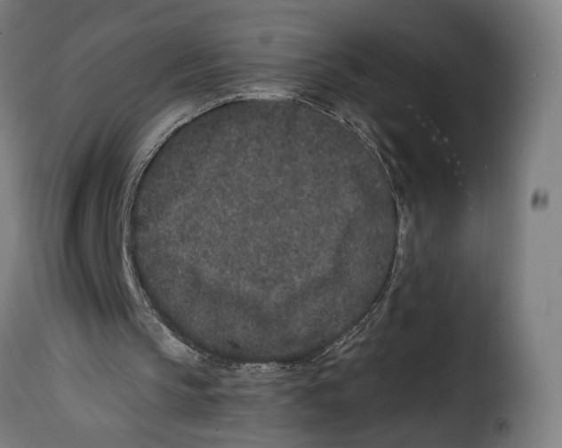 X0000114990145200911231149