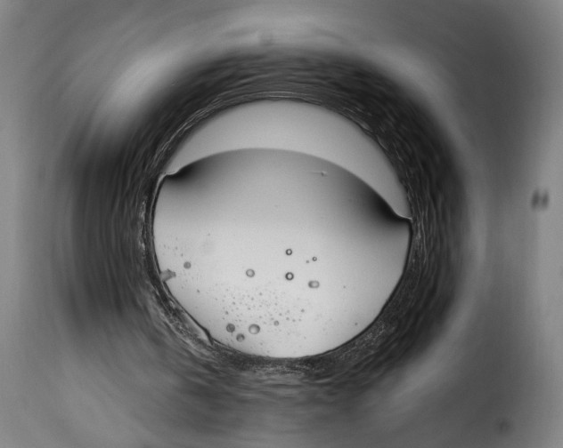 X0000114990146200911231149