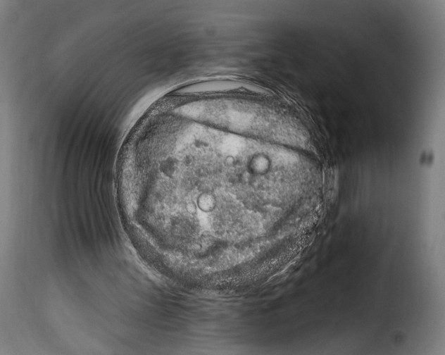 X0000114990147200911231149