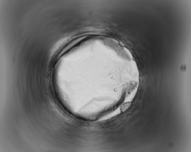 X0000114990149200911231149