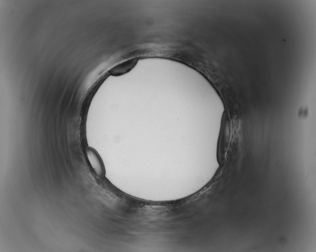 X0000114990150200911231149