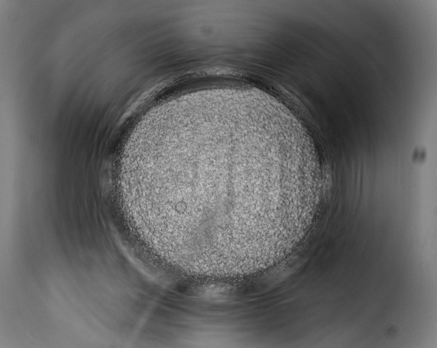 X0000114990158200911231149