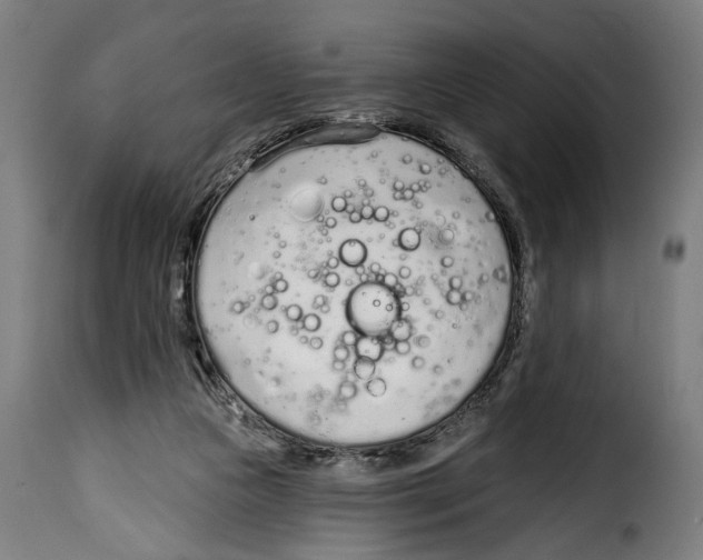 X0000114990161200911231149