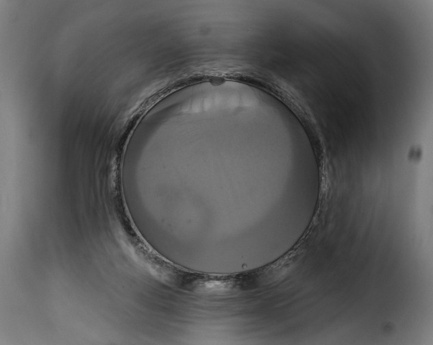 X0000114990163200911231149