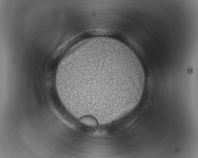 X0000114990165200911231149