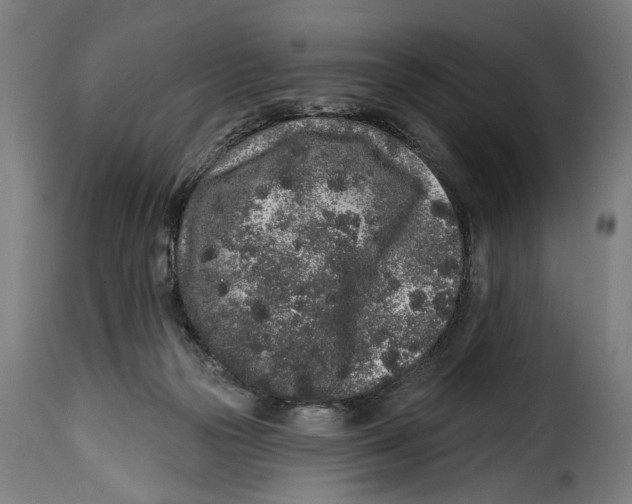 X0000114990169200911231149