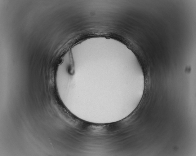 X0000114990170200911231149