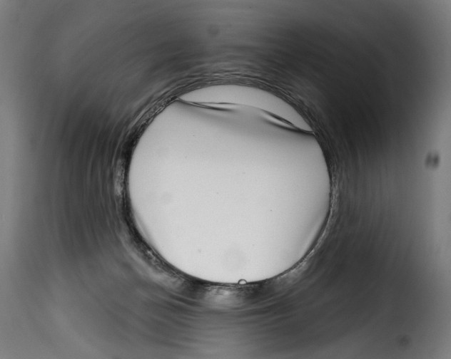 X0000114990174200911231149