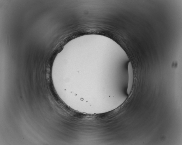 X0000114990175200911231149