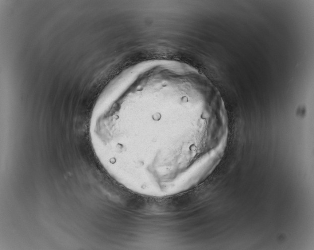 X0000114990177200911231149