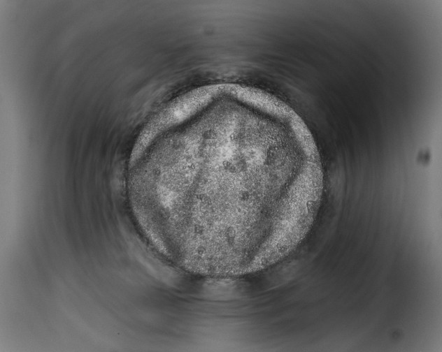 X0000114990181200911231149