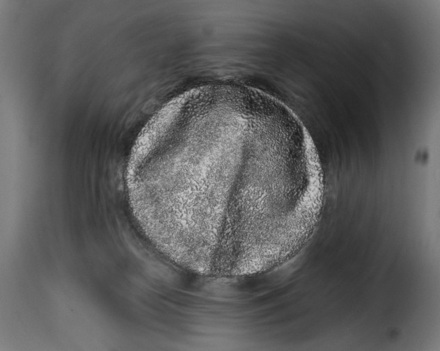 X0000114990182200911231149