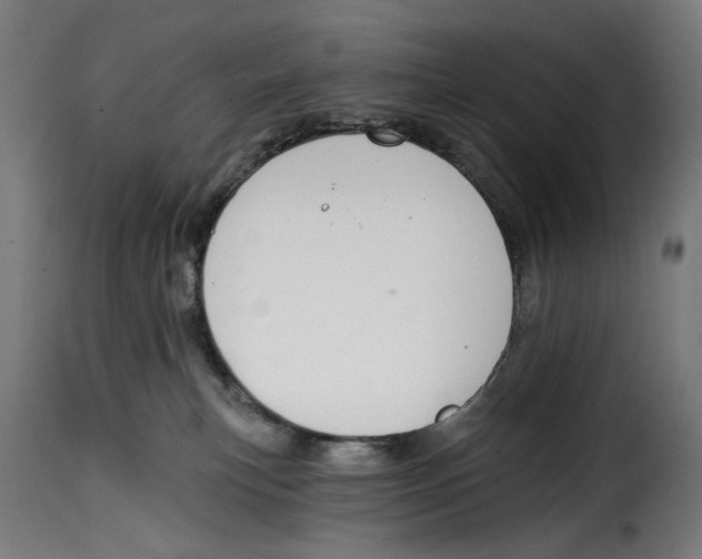 X0000114990183200911231149