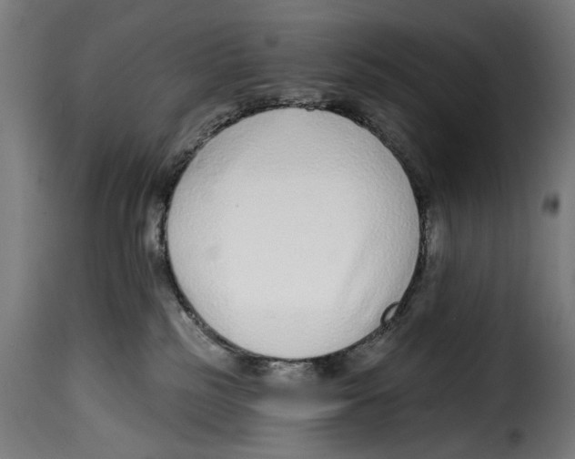 X0000114990185200911231149