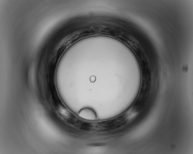 X0000114990189200911231149