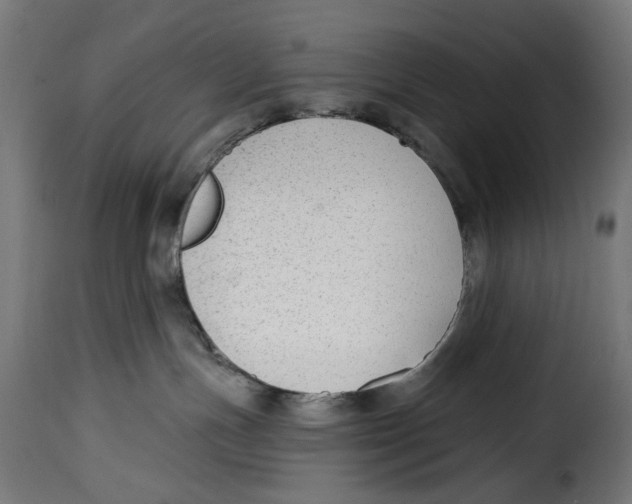 X0000114990191200911231150