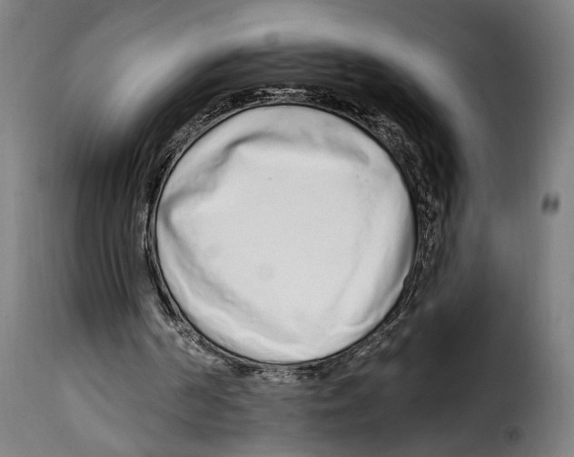 X0000114990194200911231149