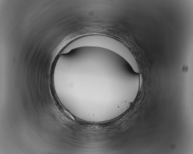 X0000114990195200911231149