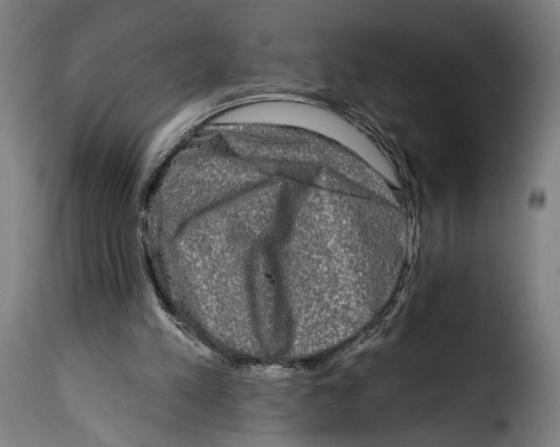 X0000114990197200911231149