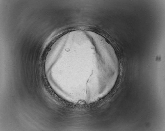 X0000114990198200911231149