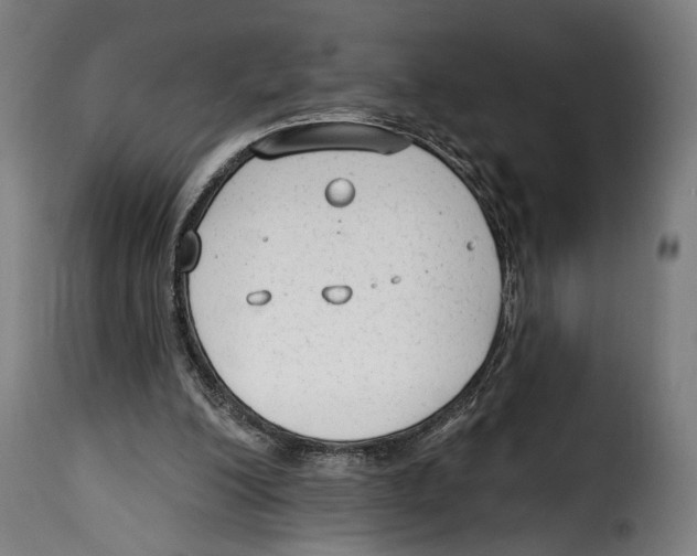 X0000114990200200911231149