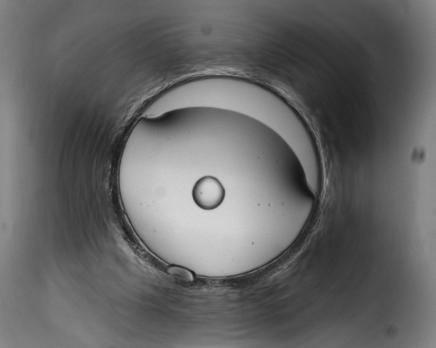 X0000114990201200911231149