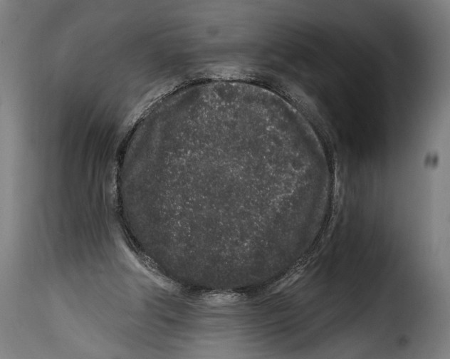 X0000114990202200911231149