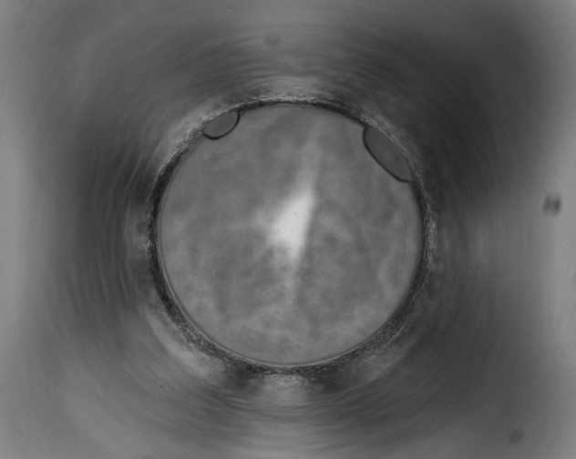 X0000114990203200911231149