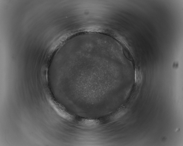 X0000114990205200911231149