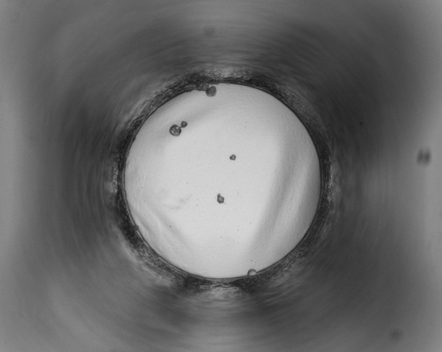 X0000114990210200911231149