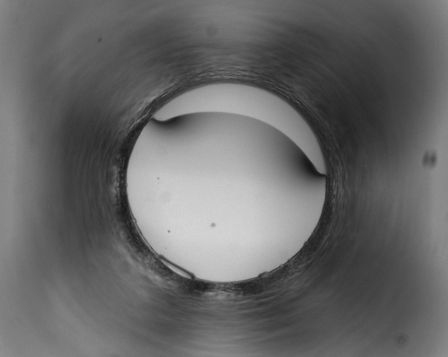 X0000114990211200911231149