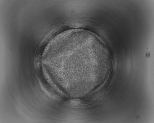 X0000114990214200911231149