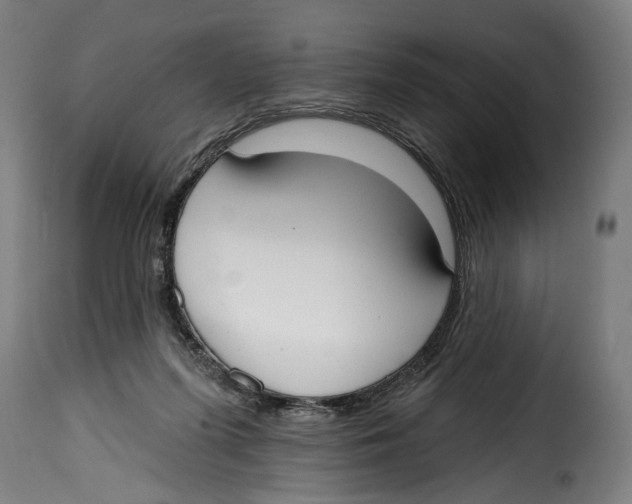 X0000114990215200911231149