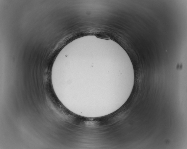 X0000114990216200911231149