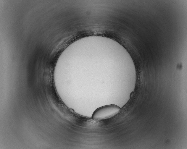 X0000114990218200911231149