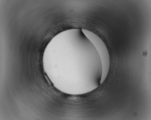 X0000114990221200911231148