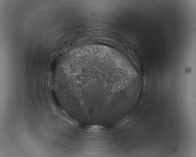 X0000114990222200911231148