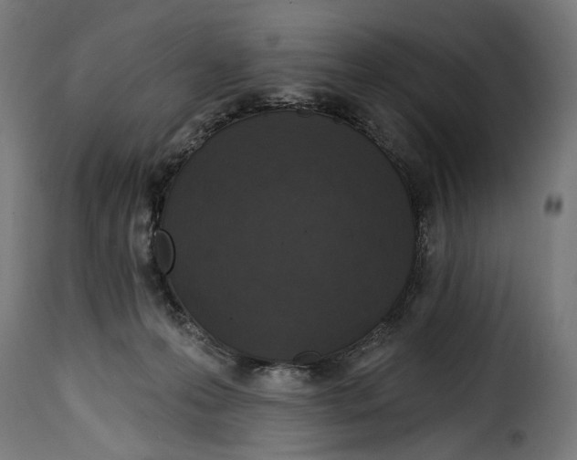 X0000114990223200911231148