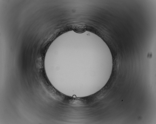 X0000114990224200911231148