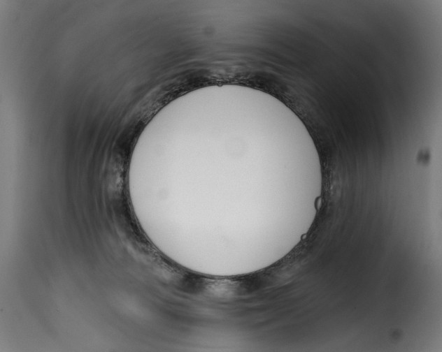 X0000114990226200911231148