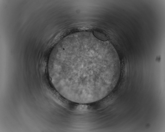 X0000114990227200911231148