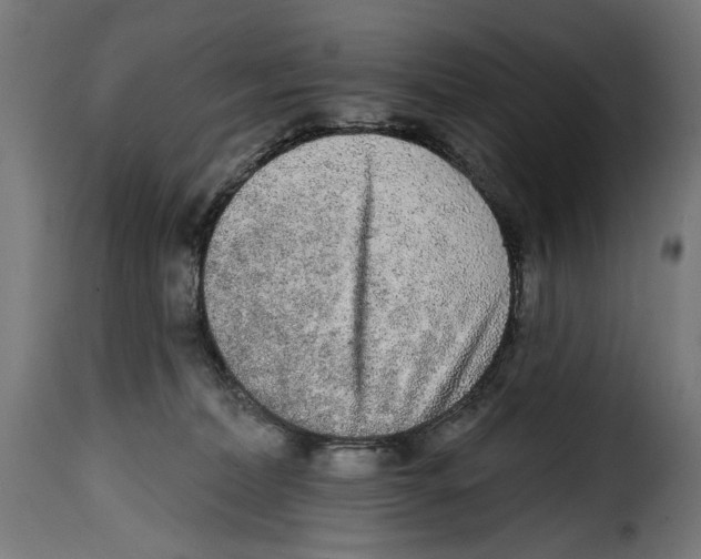 X0000114990228200911231148