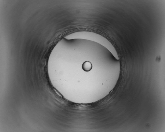 X0000114990229200911231148