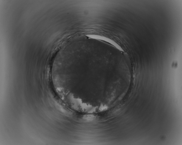 X0000114990231200911231148